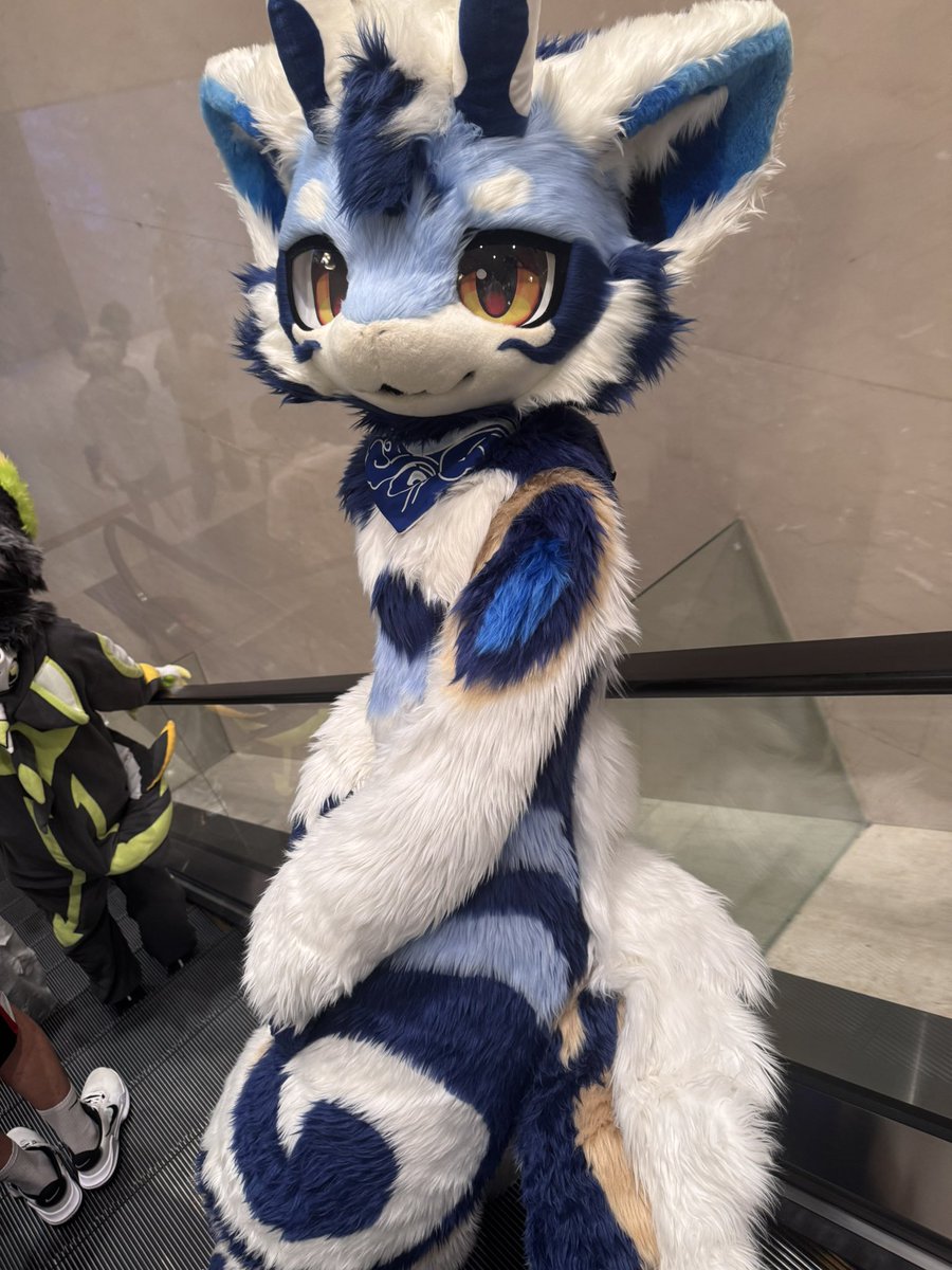 Glaze_Cyan's tweet photo. 喜欢我？ https://t.co/XK1N7x9Rm8