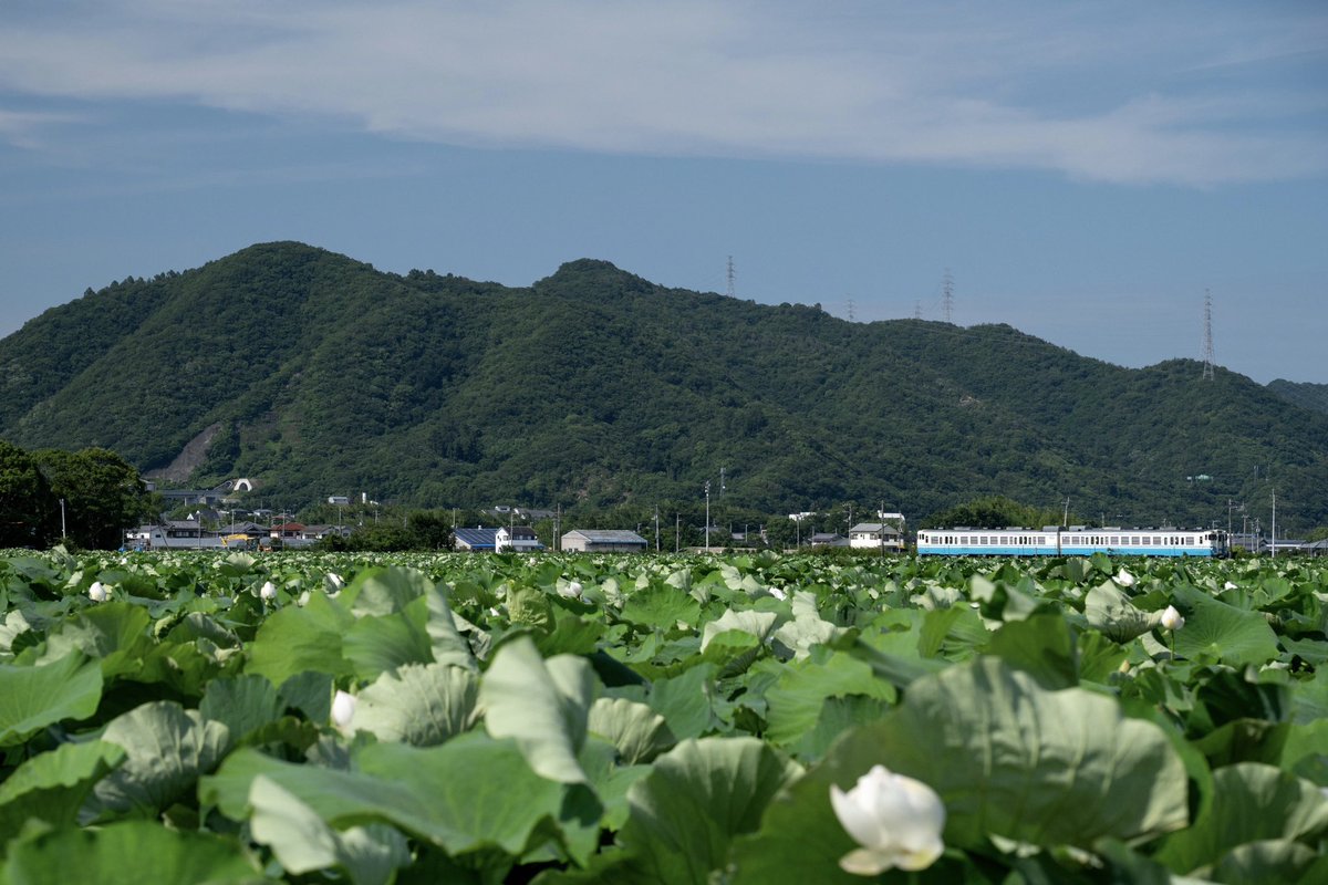 TH09801715's tweet photo. 四国色よき
また行く https://t.co/CFPkEwp5tG