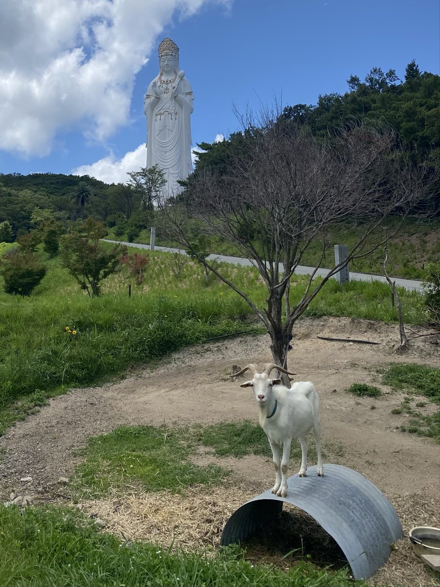 mina3103756's tweet photo. 本日のベストショット📷 https://t.co/TFo2LbvBop