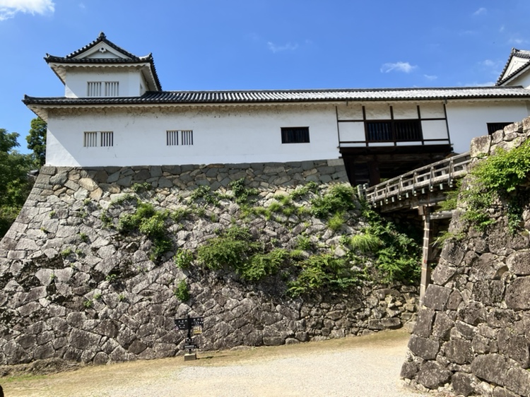 hikone_castle's tweet photo. 7月10日㊎の彦根城🏯
梅雨明けとともに、本格的な夏がやってきました☀️
彦根城に特別住民票を持つひこにゃんも、暑さ対策のため、7月13日㊊から9月30日㊌まで、13時30分からの登場場所はこれまでの天守前広場ではなく、重文「天秤櫓」内に登場します😻
なお、雨天時も天秤櫓内での登場となります🥰 https://t.co/3h4Z9w3qpV