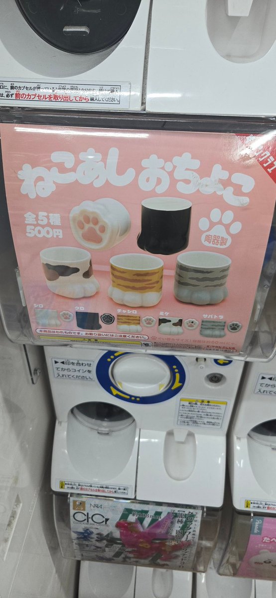 sanjerisan's tweet photo. ねこあしおちょこ！さがせばあるんだな https://t.co/CbYJav5jtL