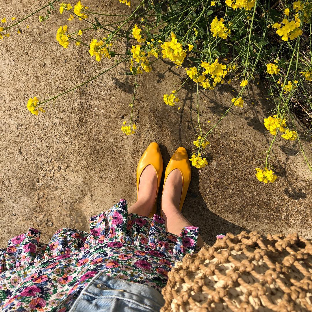 delfina_pa89285's tweet photo. When I was young, my parents held up the sky for me with their own hands; as I grew up, they sowed a field of gold for me with their sweat. โจ #Plants #MakingFriends https://t.co/7j9EHgf9ey