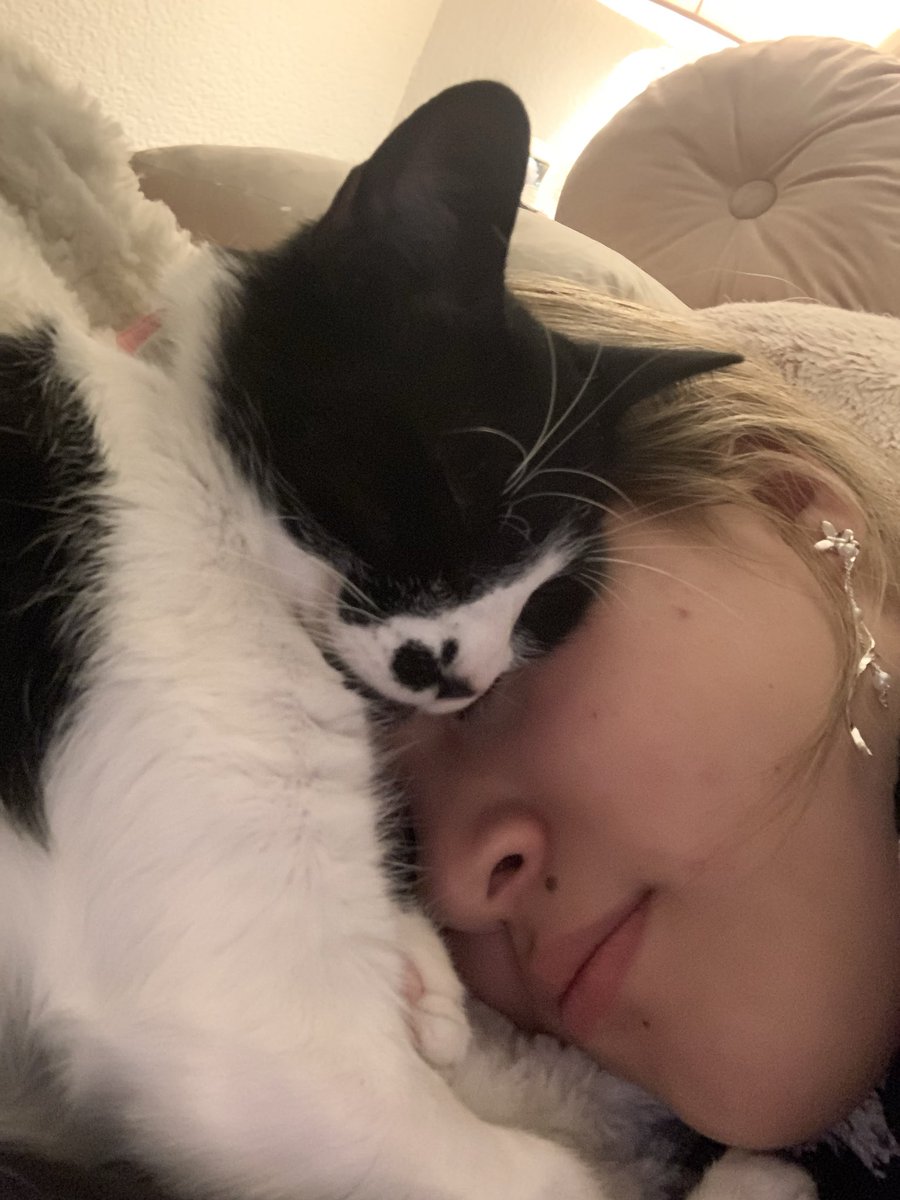 Maruchiss2_'s tweet photo. Ya 2 años sin ti mi bebita, eres parte de mi corazón jamás voy a dejar de extrañarte. Siempre que te veo me haces decir “como amaba a esa pinche gata” y te amo Makisita :( https://t.co/SvJEFhNK93
