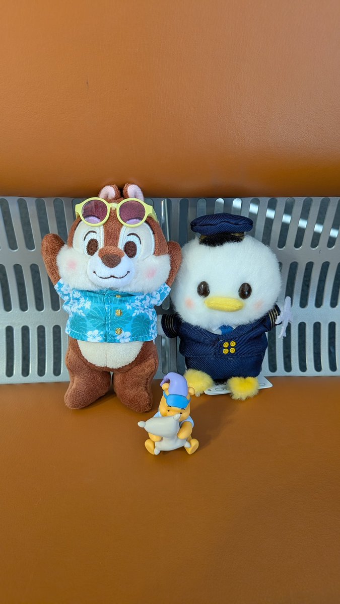 P3SUKI's tweet photo. 念願のパイロットのドナちゃんをお迎えできました🥰
チップはデールを出し抜いて旅行についてきました🐿️ https://t.co/pKSTvz22NY