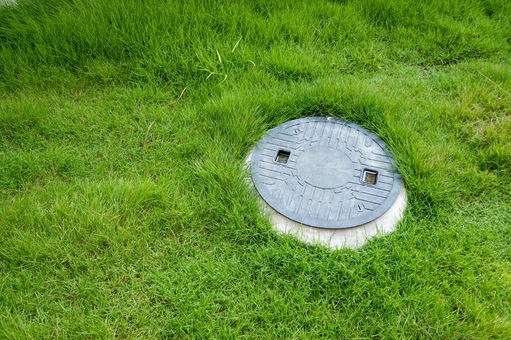 CharlotteSeptic's tweet photo. Why a Super Green Lawn Could Signal Septic Problems

Vibrant green grass in the septic area can give you a clue as to the condition of your septic system’s health. You may be dealing with a septic leak, a full septic tank, and a failing drain field. ...

https://t.co/1W1ylpMuHn https://t.co/5DTmXC40PW