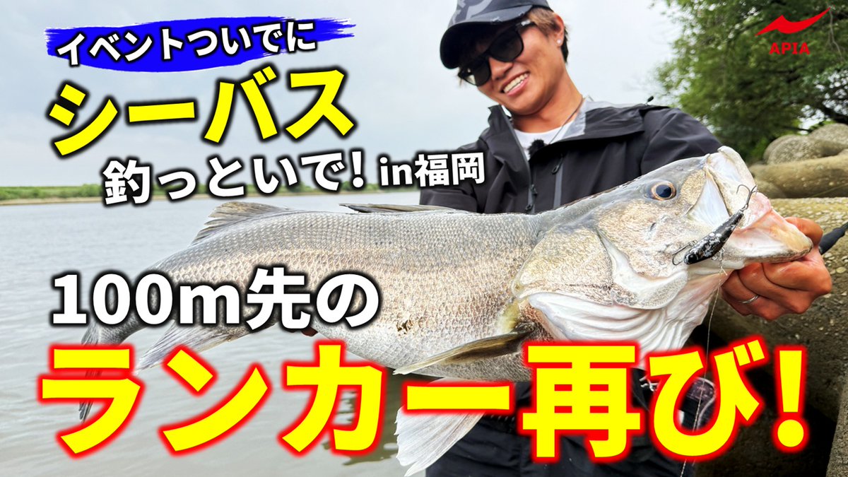 apia_spartas's tweet photo. 【ATV新着動画公開！】
今回の広報室長シリーズは福岡県が舞台！
 2年前のチャレンジではランカー乱舞となったが、今回はまさかのタフコンディション。 
ランガンを繰り返しながら、100ｍ先の流心に潜むランカーシーバスを狙う！ 
是非ご覧ください！ ✨

https://t.co/wOuaE0U2Ps https://t.co/6YS1u0oOcc