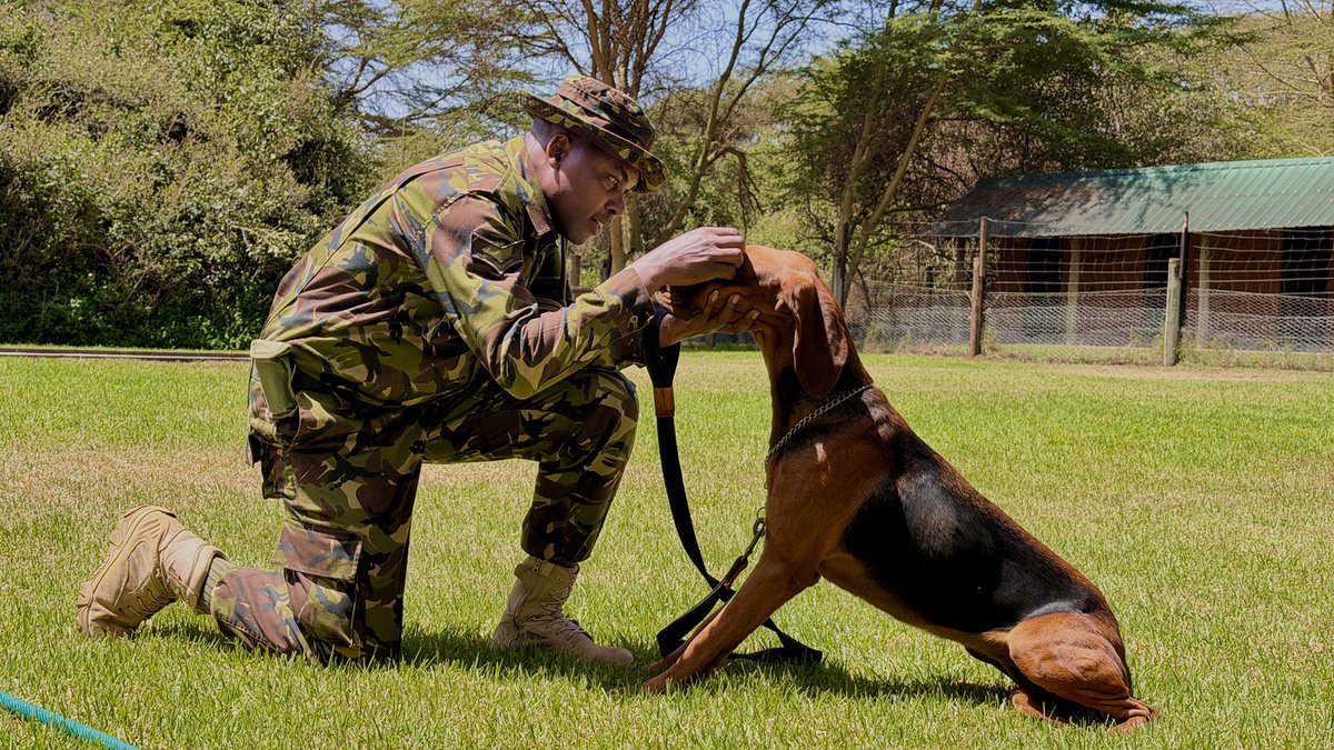 Lewa Wildlife Conservancy tweet media