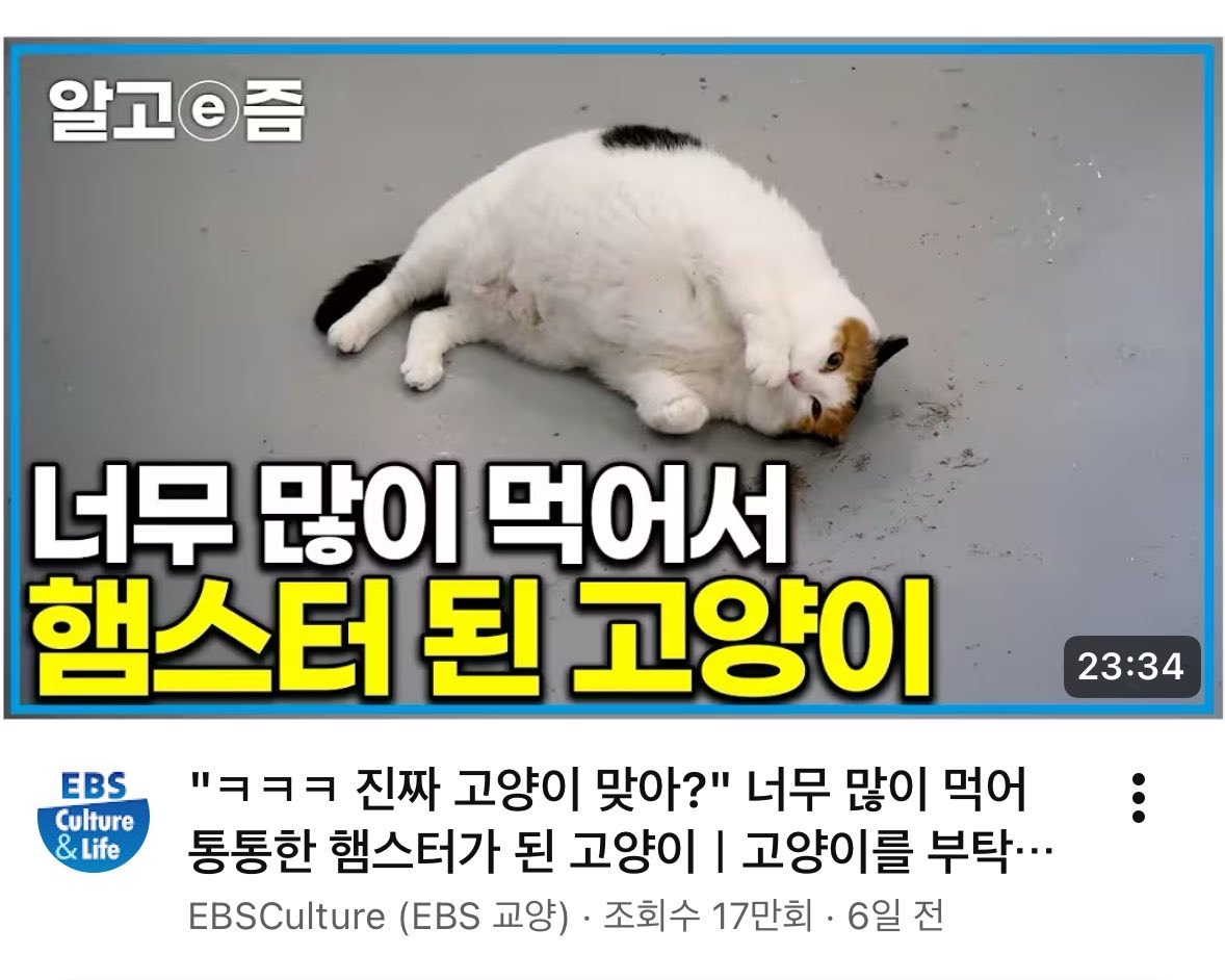 kawaiiiwoni's tweet photo. ㅎㄷㄷ https://t.co/VNteCWZoFK