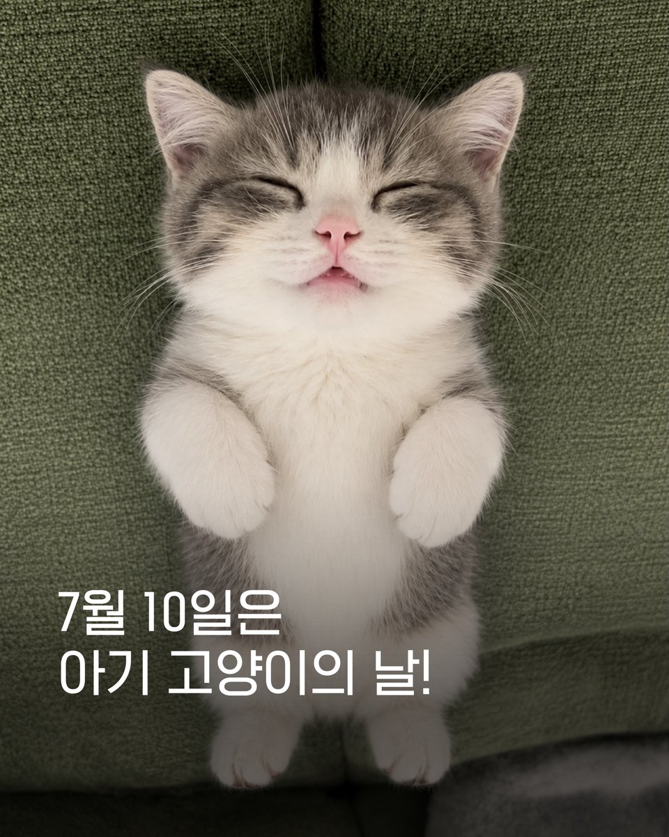 inseong_latte's tweet photo. https://t.co/Ez4Vehj1FI