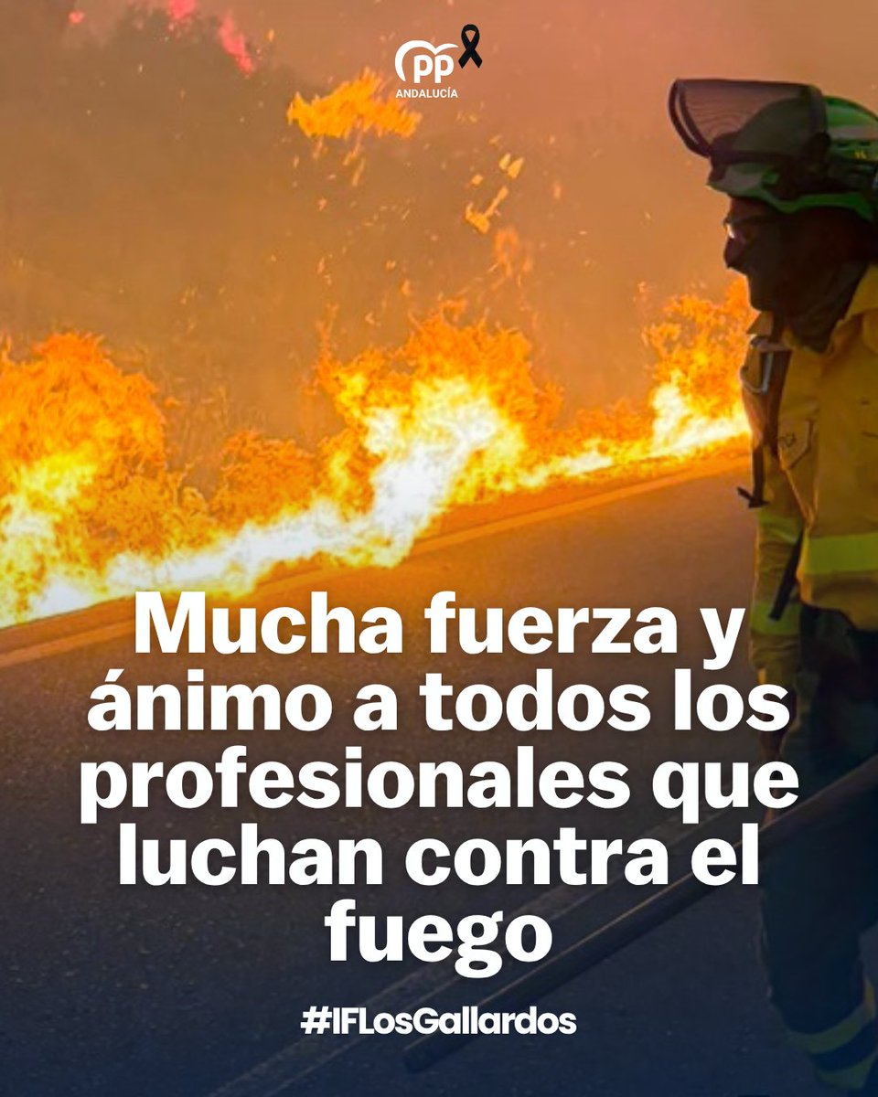 ppandaluz's tweet photo. 🔴 Mucha fuerza y ánimo a todos los profesionales que se enfrentan a las llamas en el incendio de Los Gallardos.

Sabemos que sois los mejores y lo estáis dando todo.

#IFLosGallardos https://t.co/Bds6L8TasT