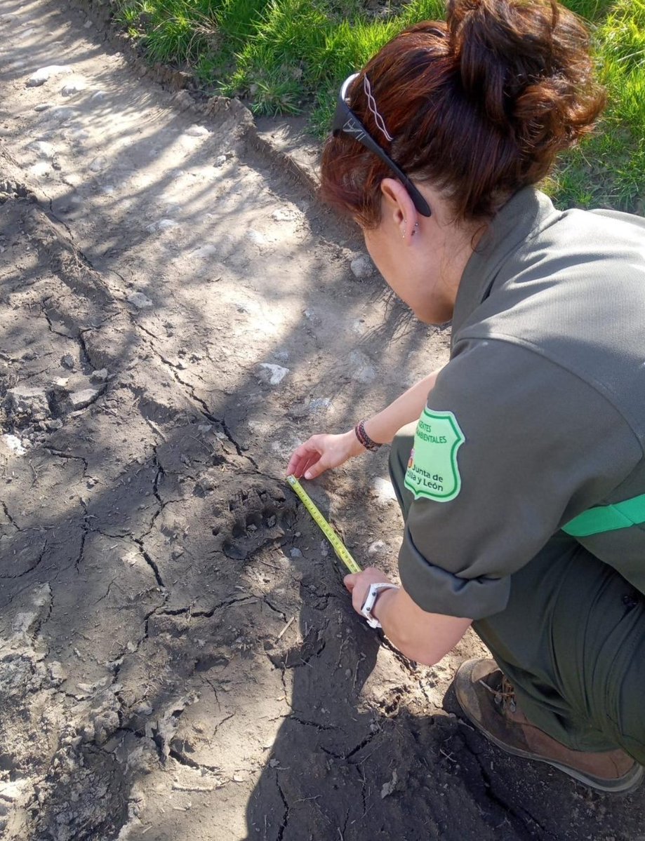 apamcyl's tweet photo. Nuestras condolencias para la familia, compañeros y Amigos de Ros Ana Ríos Muriel que ha trabajado en varios puestos de los servicios de Medio Ambiente de #León y #Zamora
DEP. https://t.co/JRfJZvfvjR