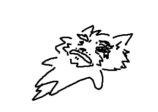 Star Wolf Shady Tea and Facts tweet media