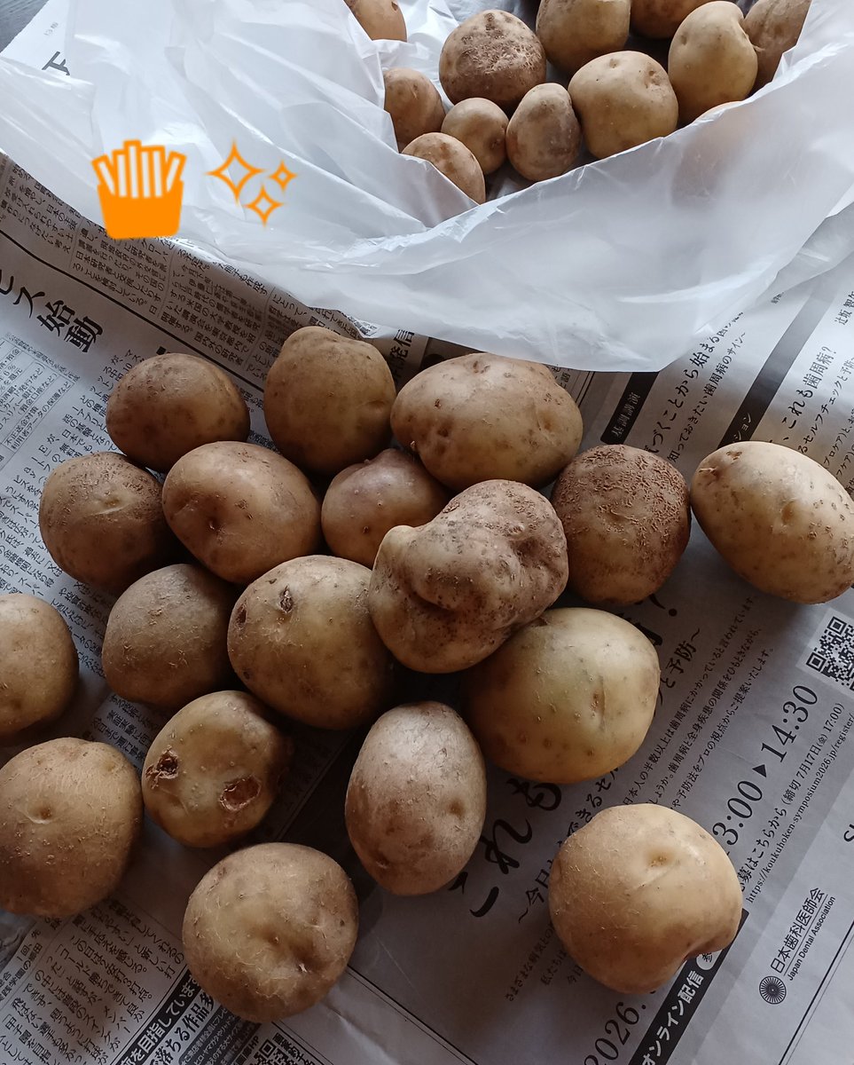 eme385's tweet photo. 毎年この時期はいろんな方に🥔頂く✨
ポテチ作り放題😁💨 https://t.co/vi3zwF1R63