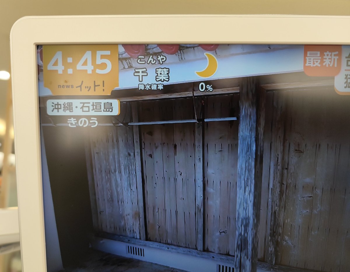 くま博士 tweet media