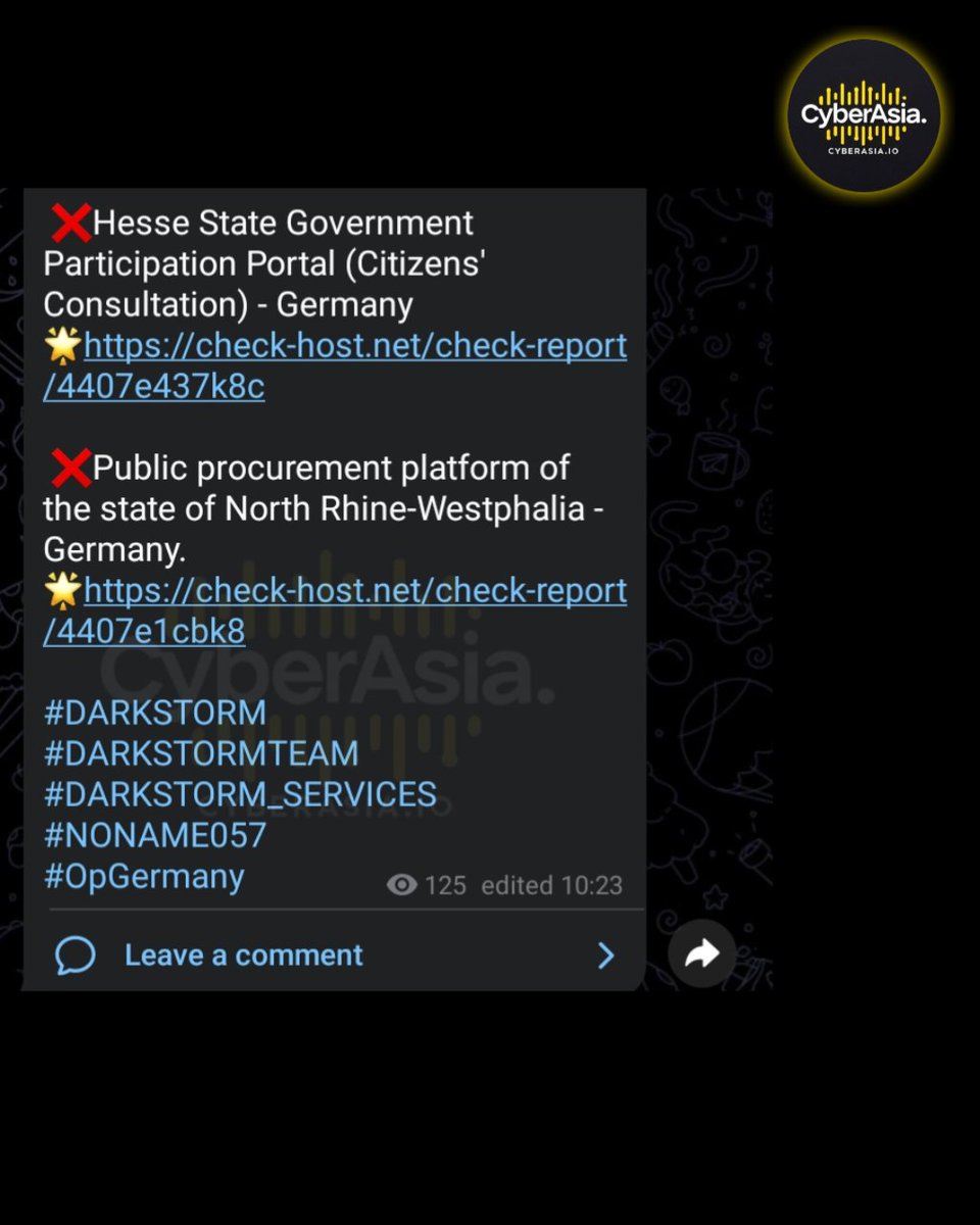 cyberasia_io's tweet photo. 🚨 Germany Alert 🇩🇪
 
#Hacktivist group #DarkStormTeam has launched #DDoS (Distributed Denial of Service) attacks targeting multiple official government platforms across #Germany

#Cybersecurity #DDoSAttack #GovernmentServices https://t.co/fOXSZlexny