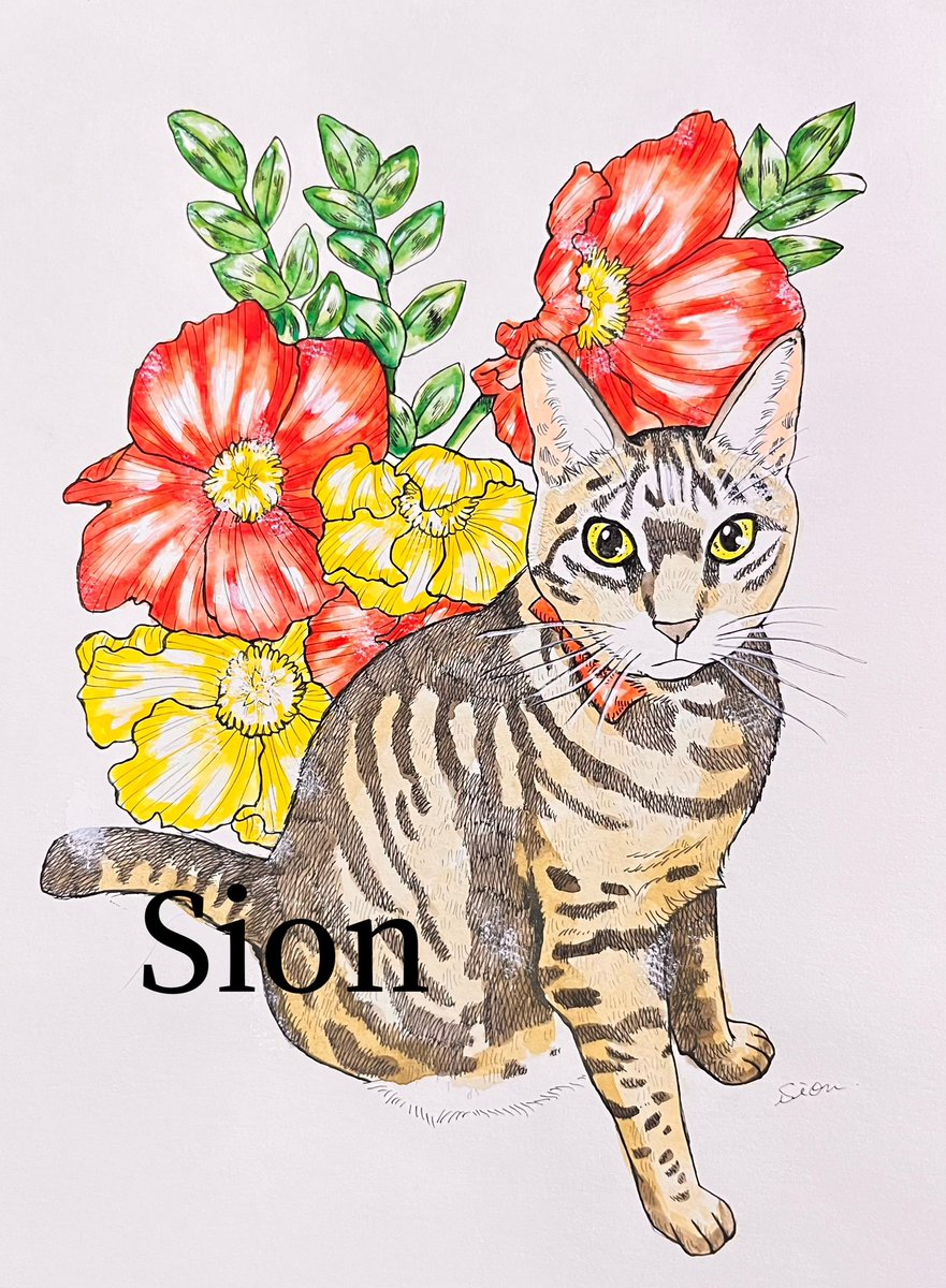 クローバーとのんびりねこ(原画) 7/10（金）open! / 6/27～7/11 花よりニャンコ展 くろねこ座