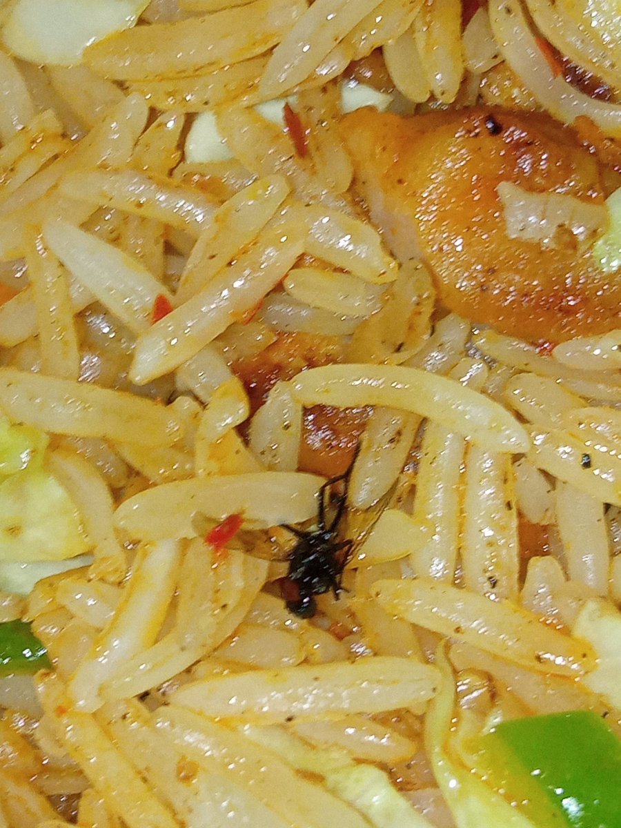 mujebhat2008's tweet photo. @Swiggy It's been 24+ hours since I reported a dead fly in my food (Order ID: 242576189067235). Still no refund or update. Resolve this immediately, or I'll escalate the matter to the appropriate consumer and food safety authorities. #FoodSafety #ConsumerRights @SwiggyCares https://t.co/MUt9KleWK5