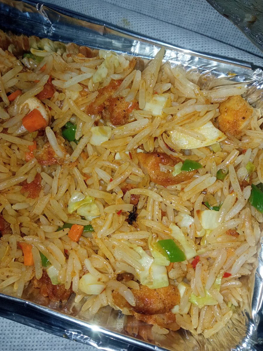 mujebhat2008's tweet photo. @Swiggy It's been 24+ hours since I reported a dead fly in my food (Order ID: 242576189067235). Still no refund or update. Resolve this immediately, or I'll escalate the matter to the appropriate consumer and food safety authorities. #FoodSafety #ConsumerRights @SwiggyCares https://t.co/MUt9KleWK5