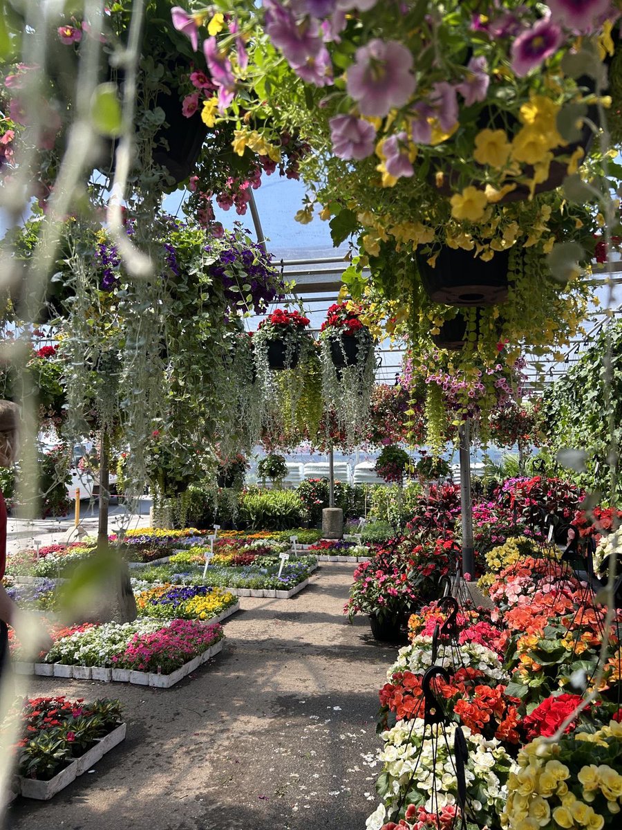 bloomele_'s tweet photo. Flower market 💐🌺🌼🌷🌸 https://t.co/bu0r2X3siJ