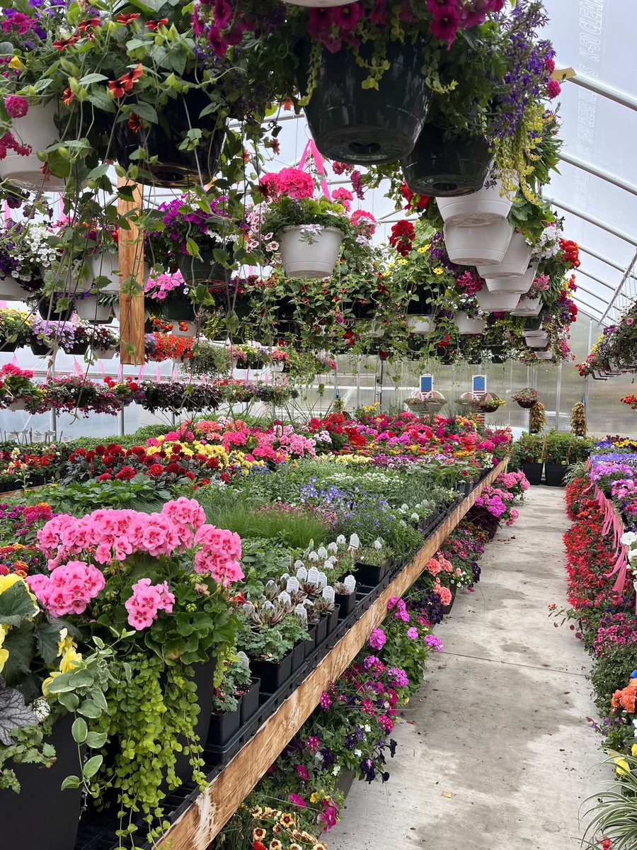 bloomele_'s tweet photo. Flower market 💐🌺🌼🌷🌸 https://t.co/bu0r2X3siJ