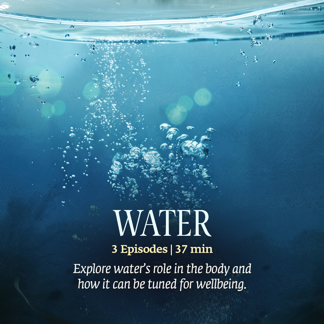 ishafoundation's tweet photo. Explore the five elements with Sadhguru through this special collection on Sadhguru Exclusive.

From Earth, Water, and Fire to Vayu and Akash, discover Yogic insights into the elements that form the basis of the body, life, and existence.

Watch the full elemental collection now on Sadhguru Exclusive: https://t.co/cgbDzLJLSq