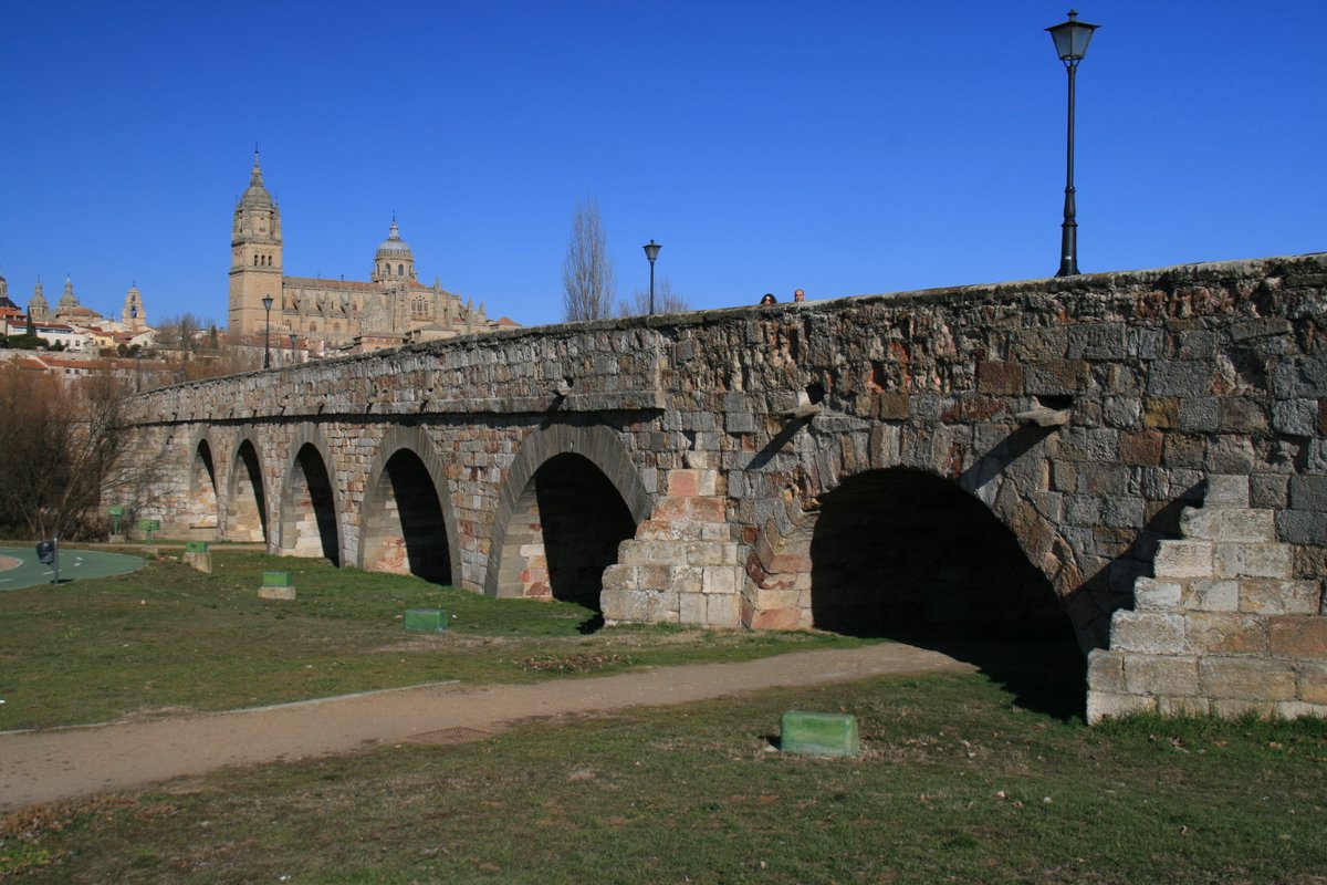 ElCampoAmarillo tweet picture