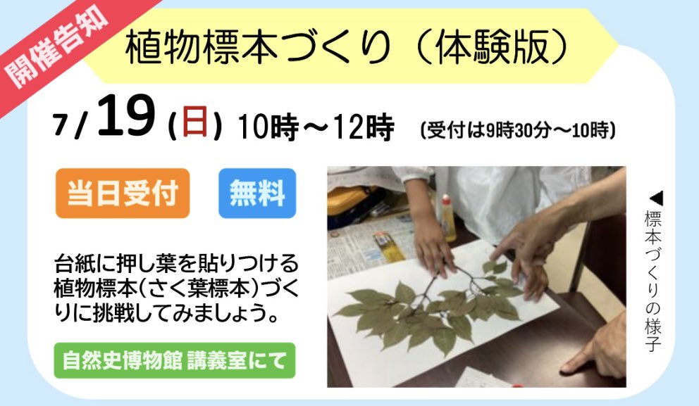 kura_n_h_museum's tweet photo. 前回逃した方必見❗️
アツイご要望にお応えして、植物標本づくり(体験版)を開催します❗️
今回はあらかじめ押し葉にした植物を台紙に貼って、標本を完成させるよ。
体験版だけど、植物標本づくりの大事なポイントはしっかりお伝えするから安心してね😊

詳しくはこちら▼
https://t.co/6V011w1f58 https://t.co/1aYuriFk66