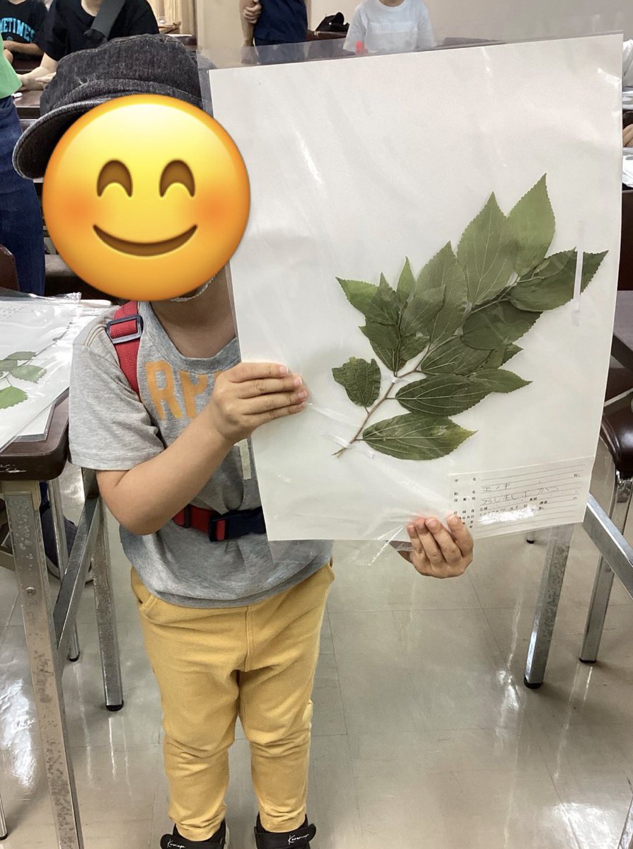 kura_n_h_museum's tweet photo. 前回逃した方必見❗️
アツイご要望にお応えして、植物標本づくり(体験版)を開催します❗️
今回はあらかじめ押し葉にした植物を台紙に貼って、標本を完成させるよ。
体験版だけど、植物標本づくりの大事なポイントはしっかりお伝えするから安心してね😊

詳しくはこちら▼
https://t.co/6V011w1f58 https://t.co/1aYuriFk66