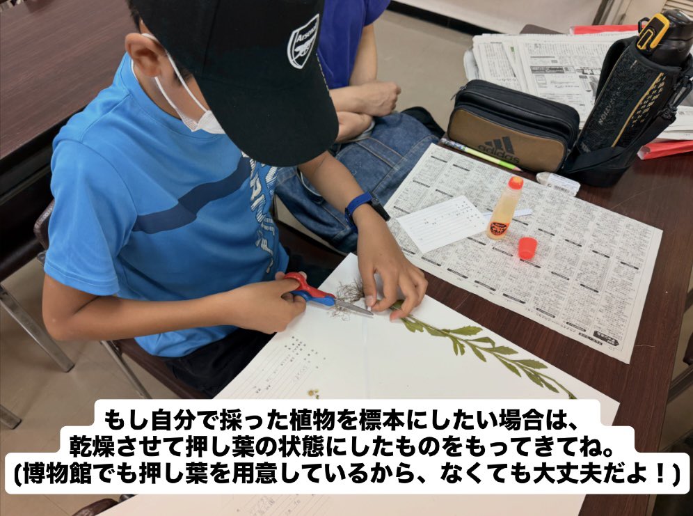 kura_n_h_museum's tweet photo. 前回逃した方必見❗️
アツイご要望にお応えして、植物標本づくり(体験版)を開催します❗️
今回はあらかじめ押し葉にした植物を台紙に貼って、標本を完成させるよ。
体験版だけど、植物標本づくりの大事なポイントはしっかりお伝えするから安心してね😊

詳しくはこちら▼
https://t.co/6V011w1f58 https://t.co/1aYuriFk66