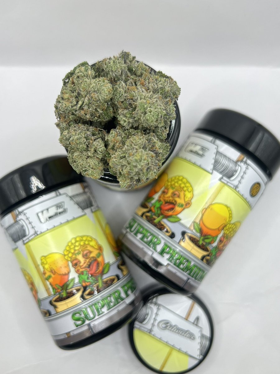Jameskushplug's tweet photo. Weed #Cumbernauld, Weed #Dalkeith, Weed #Dingwall, Weed #Dunbar, Weed #Dunblane, Weed #Dundee, Weed #Dunfermline, Weed Dunoon, Weed #Duns, Weed #Elgin, Weed Falkirk, Weed Forfar, Weed Fort William, https://t.co/uqK8b0yIC1