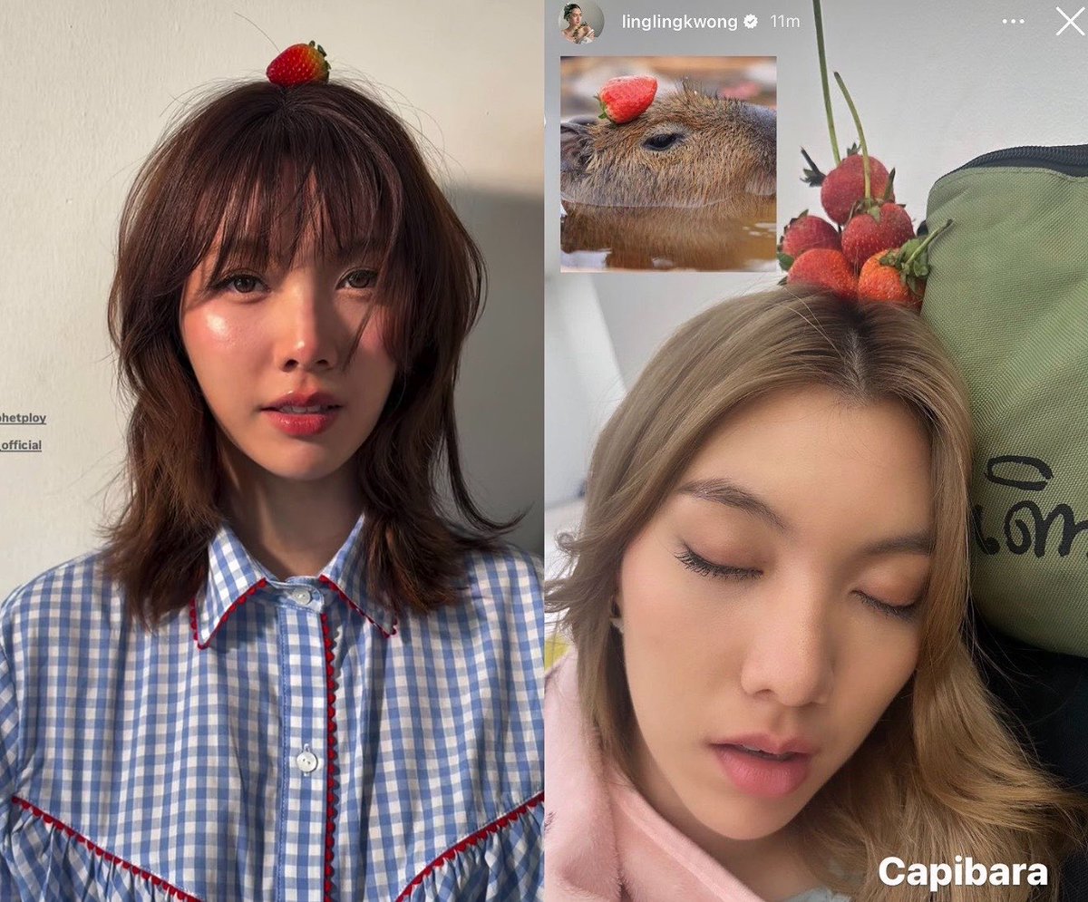 kaijeaw__19's tweet photo. ‘ Capibara ’ ของ หลิงหลิงคอง (🥺)🍓 https://t.co/5IjSJXryCT