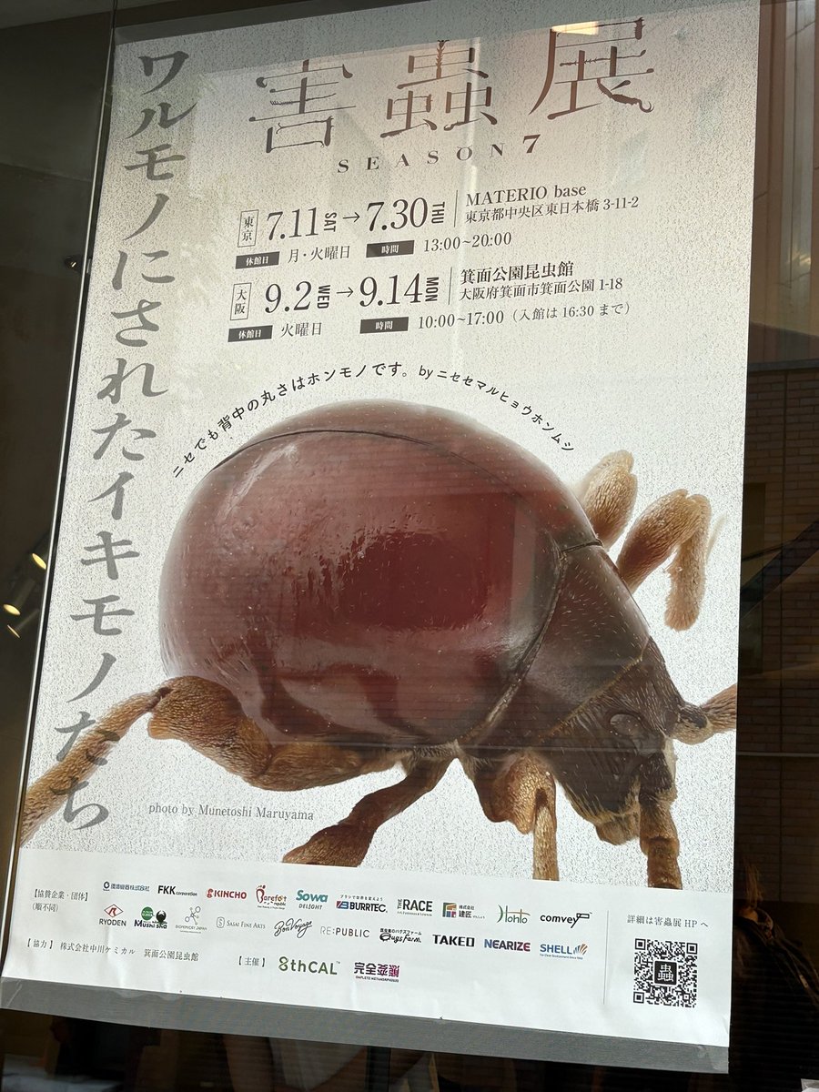🐝🪳🐭仮面ﾋﾛﾎﾟﾝ@7/12SB・7/19AWAKE出店 (@philopon_vespa) / Posts / X