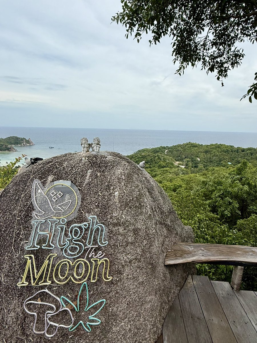 PatchOfFizz's tweet photo. One of several venues run under the ‘high’ banner. A key player in the island’s weed scene before decriminalisation, pivoting heavily into food, cocktails, and wellness since - though their original signature products are still very much on the menu. 🌿🍄✨ https://t.co/UJgz5CSdcB