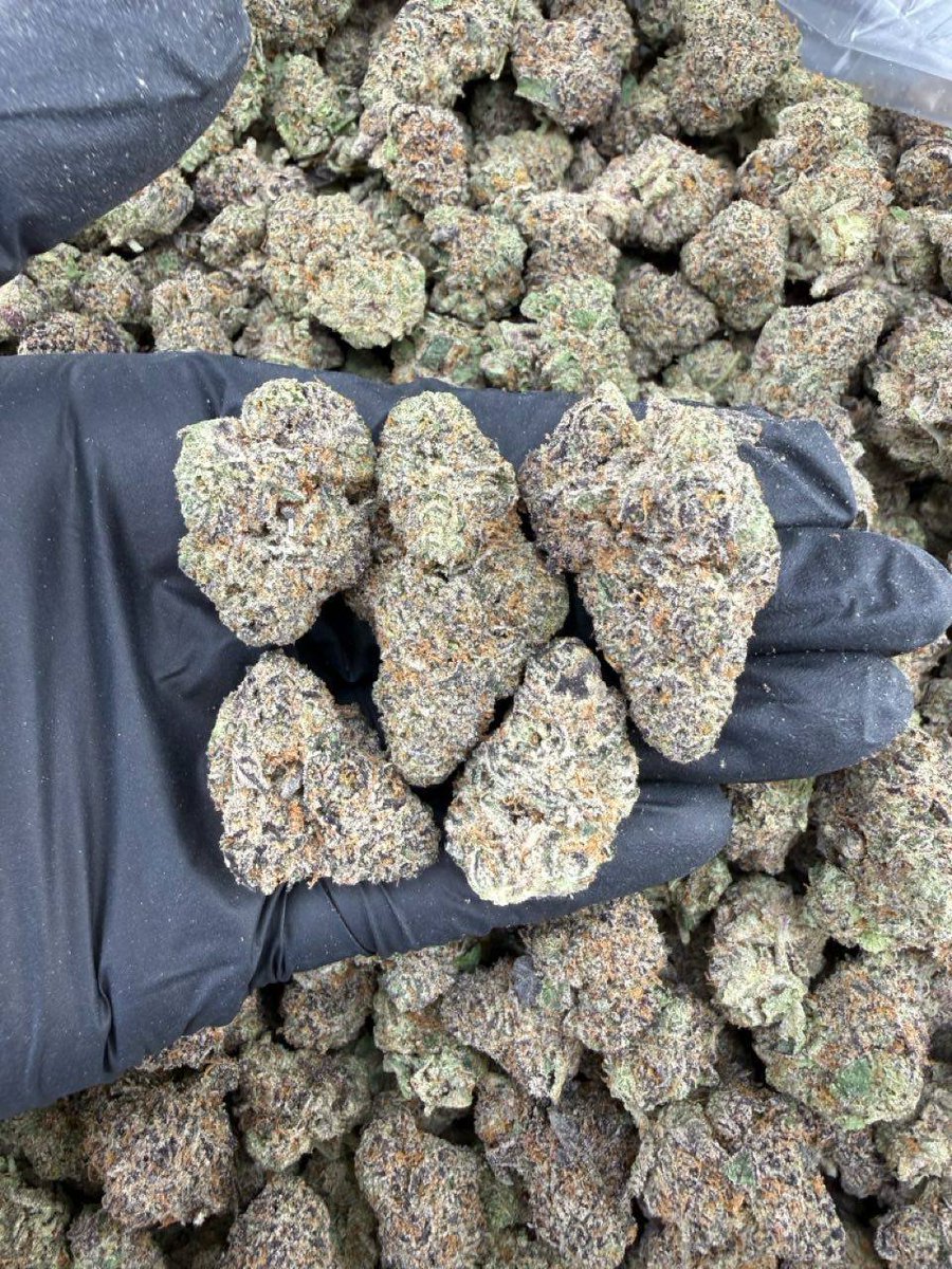 Jameskushplug's tweet photo. Weed Bellshill, Weed Blairgowrie, Weed Bonnyrigg, Weed Brechin, Weed Broxburn, Weed Buckie, Weed Campbeltown, Weed Coatbridge, Weed Coldstream, Weed Cowdenbeath, Weed Crieff https://t.co/wA8iGPicBW