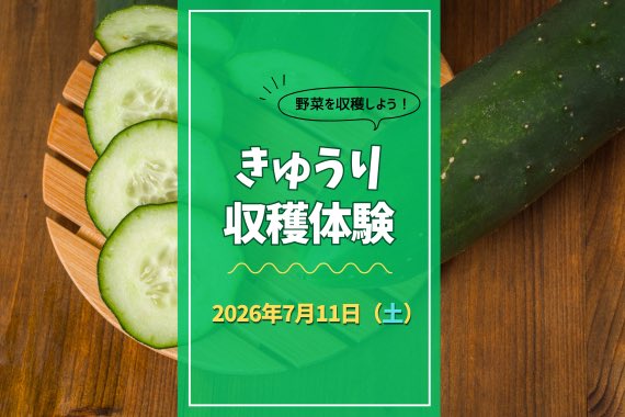 🥒だざいふ遊園地産の「きゅうり」収穫体験開催！ 📅7/11(土) 14:00