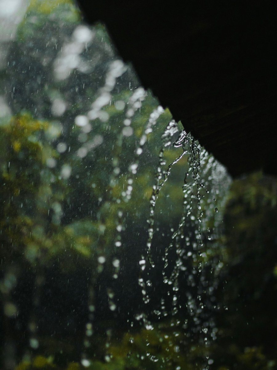 earthcurated's tweet photo. The sound of steady rain is considered 'pink noise.' It balances your brain waves, dramatically reduces anxiety, and enhances sleep quality. 🌧️ https://t.co/xZRzY9vnmm