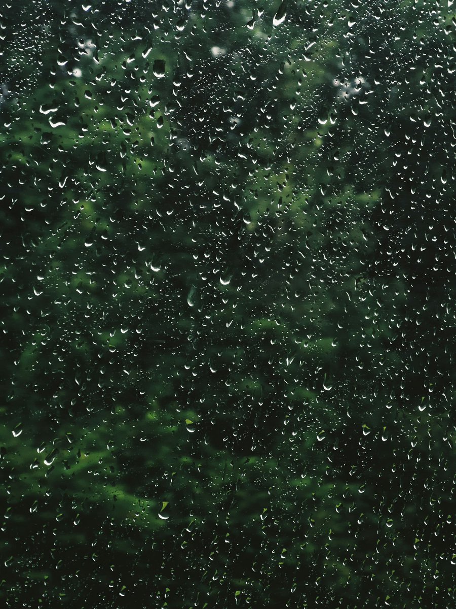 earthcurated's tweet photo. The sound of steady rain is considered 'pink noise.' It balances your brain waves, dramatically reduces anxiety, and enhances sleep quality. 🌧️ https://t.co/xZRzY9vnmm