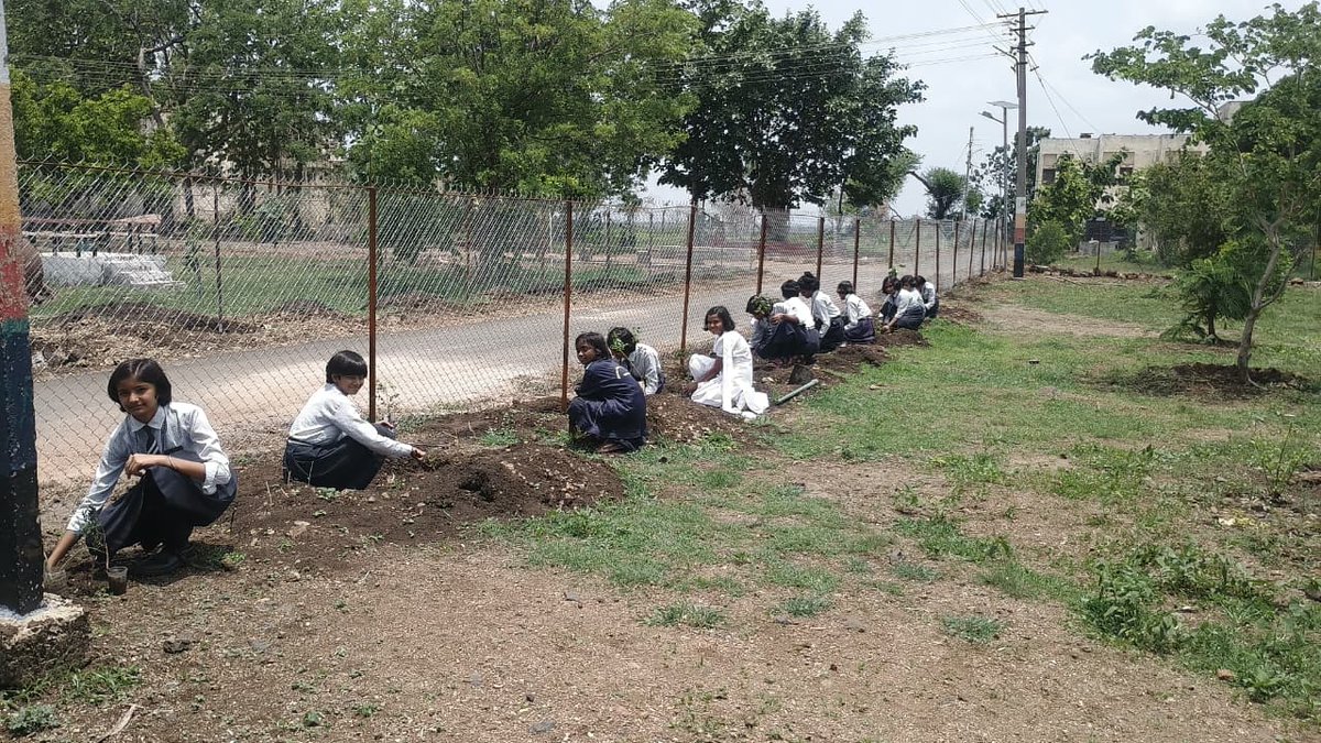 NandedJnv's tweet photo. Under the guidance of Mr. Vishnu Yadav (TGT SST), saplings were planted by the students of PM Shri School Jawahar Navodaya Vidyalaya , Nanded for their Social Science Activity. Inspiring young minds to care for the environment! 🌱🌍  #GoGreen https://t.co/LNhcjArsSc