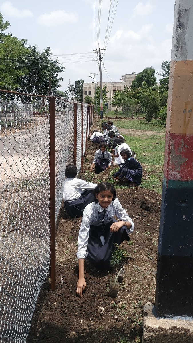 NandedJnv's tweet photo. Under the guidance of Mr. Vishnu Yadav (TGT SST), saplings were planted by the students of PM Shri School Jawahar Navodaya Vidyalaya , Nanded for their Social Science Activity. Inspiring young minds to care for the environment! 🌱🌍  #GoGreen https://t.co/LNhcjArsSc