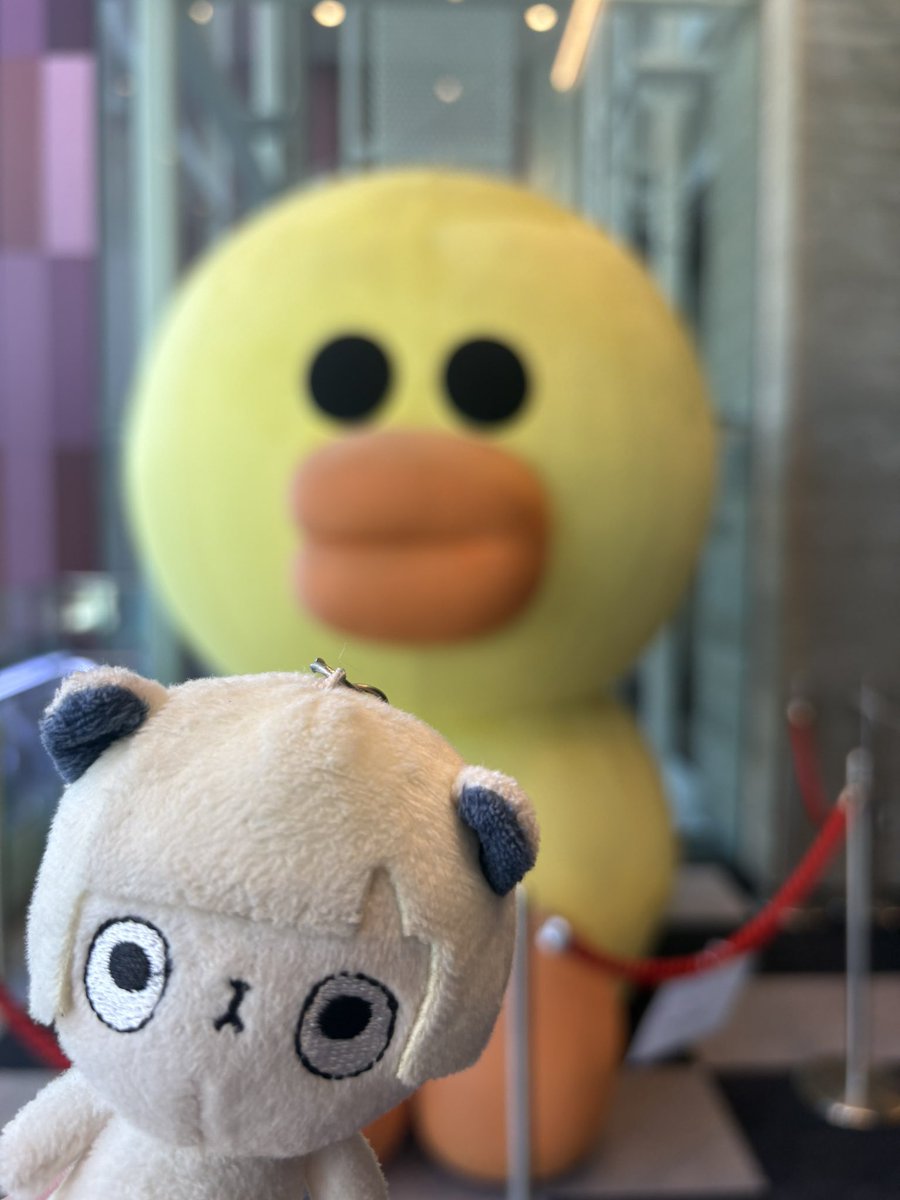 tpok9676's tweet photo. あにょvsサリー https://t.co/Zjqe3qvtTE
