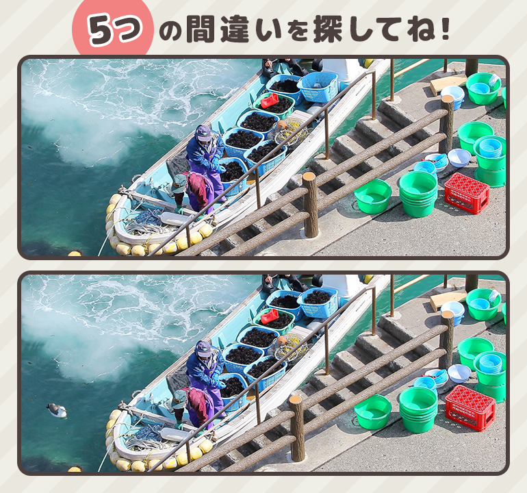 teleiwaya's tweet photo. 【間違い探しチャレンジ！】
毎週出題！気分転換や認知症予防に、ちょっと一休みしませんか？

上と下の画像では全部で５つ違う場所がありますよ👀
［画像の場所　久慈市｜小袖海岸］

正解は↓のリンクから！
https://t.co/EVm7YtxcGH https://t.co/1OVIZU95WD