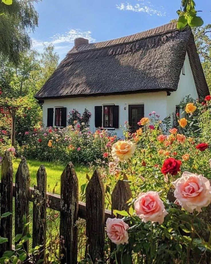 bloomele_'s tweet photo. home 🏠 https://t.co/mMWeMmxBbb