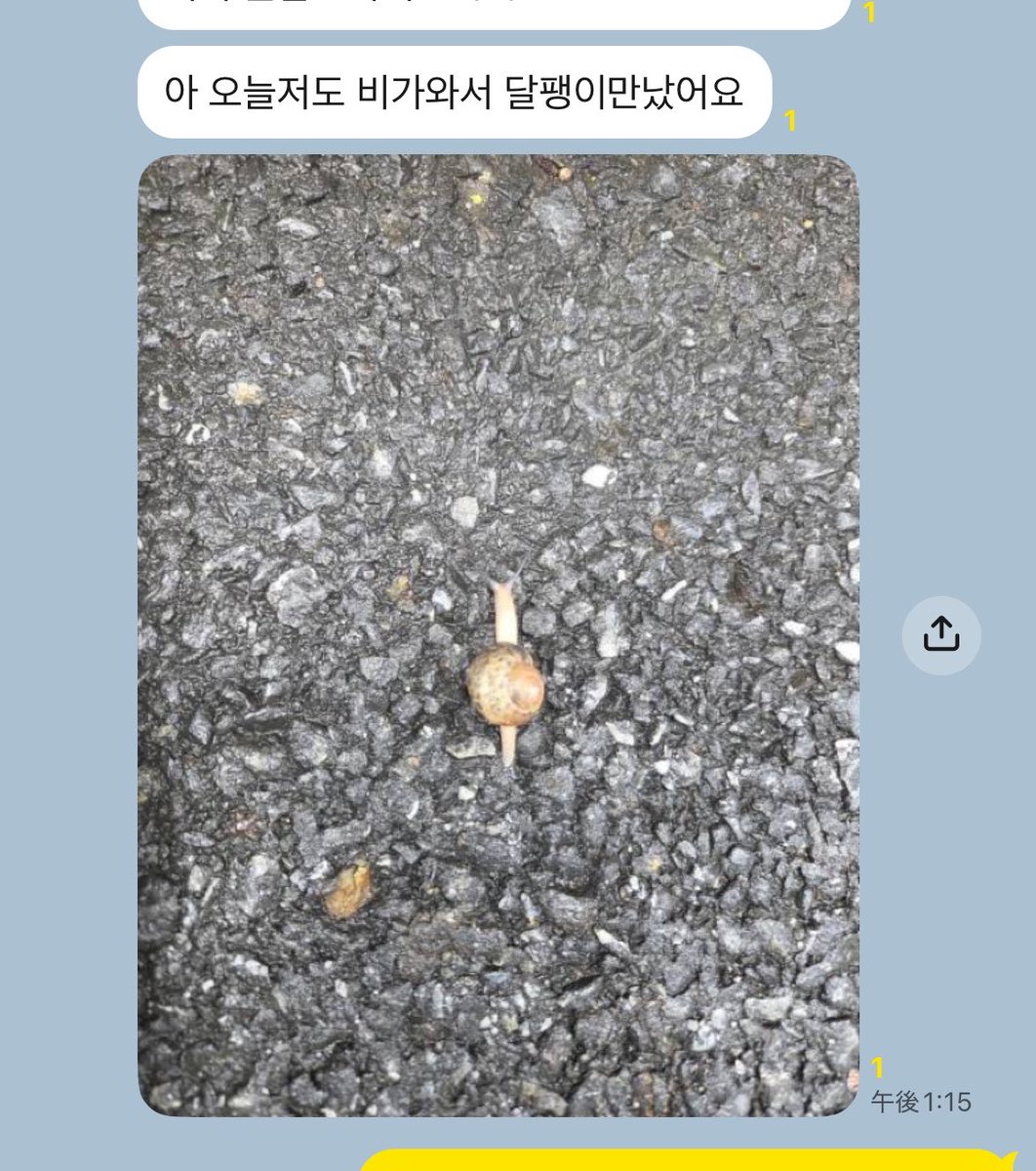 44gamu's tweet photo. 韓国で一番仲良しのオリニチプの時のママ友2人と3人のグループトーク
いつも癒される😂😂w
ずっとカタツムリの話してて、今日私もカタツムリ会ったよ〜ってwww
塾とかの話ほぼしたことない😂笑笑 https://t.co/0gOrTd8QBa