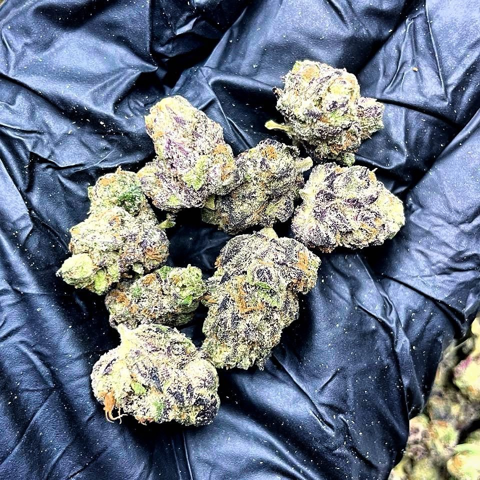 Jameskushplug's tweet photo. Weed #Fraserburgh, Weed #Galashiels, Weed #Girvan, Weed #Glenrothes, Weed #Gourock, Weed #Greenock, Weed #Hawick, Weed #Helensburgh, Weed #Huntly, Weed #Inveraray, Weed #Inverness, Weed #Irvine, Weed Jedburgh, Weed #Johnstone, Weed #Kelso https://t.co/jCK4jx61Yn