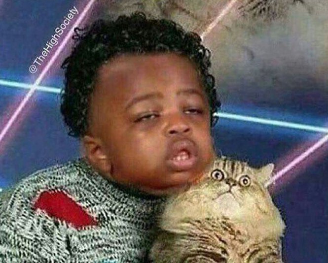 fw_Neon's tweet photo. When u tell everyone u already have plans, but your real plan is to stay home and get lit AF wiff the cat 😺😂😂 https://t.co/JYboR0qUCG