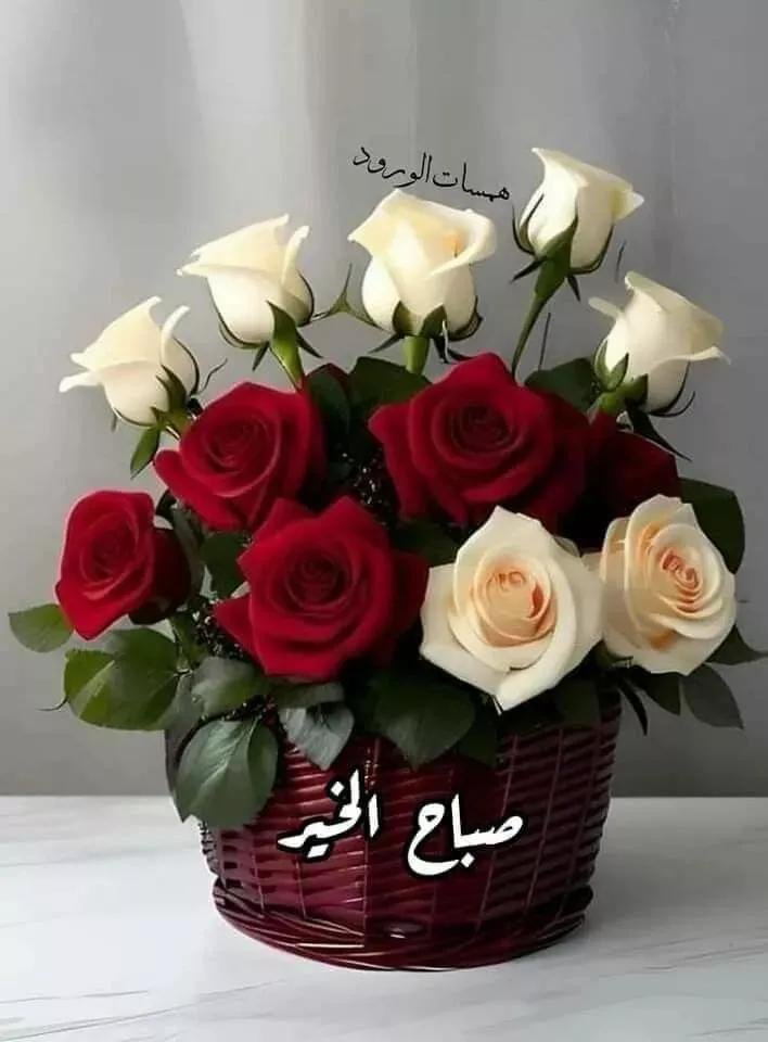 Soliman1964's tweet photo. @mktblmya48 وعليكم السلام ورحمة الله وبركاته https://t.co/PxuANGpgsR