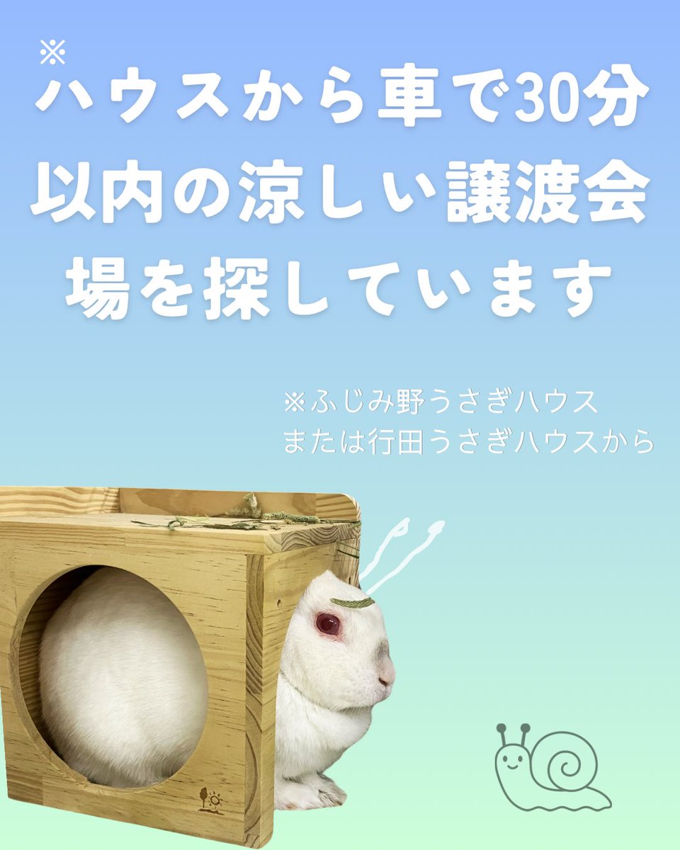 koedousagihouse's tweet photo. 🍉ハウスから近場の涼しい譲渡会場を探しています🍉【急募】

🍀ハウスから車で30分程の距離
🍀空調が効いた室内

情報がありましたら是非教えて頂きたいです🙇‍♂️💦
心当たりのある方はハウスのお問い合わせ↓またはメールアドレスまでご連絡ください。
https://t.co/bL8erKYanP

#ふじみ野うさぎハウス
#行田うさぎハウス
#保護うさぎ
#譲渡会