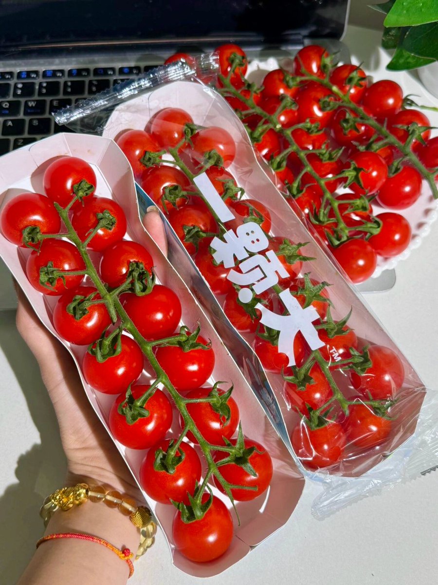 andrealischetti's tweet photo. Just tried the organic cherry tomatoes from local farm—burst with sweet juice, no weird aftertastes, perfect for quick salads or snacking. https://t.co/FHHjWlJFIQ
