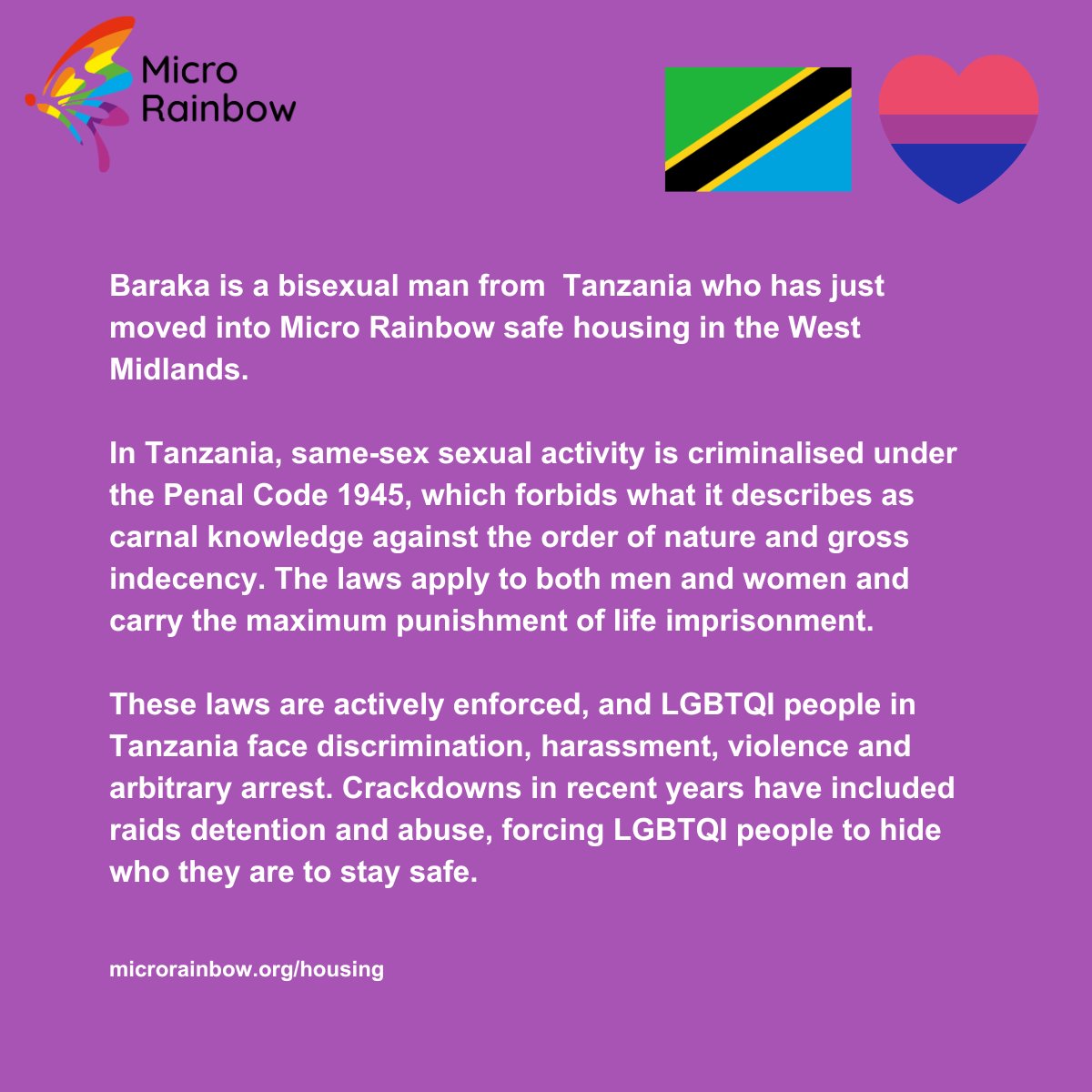 Micro Rainbow tweet media