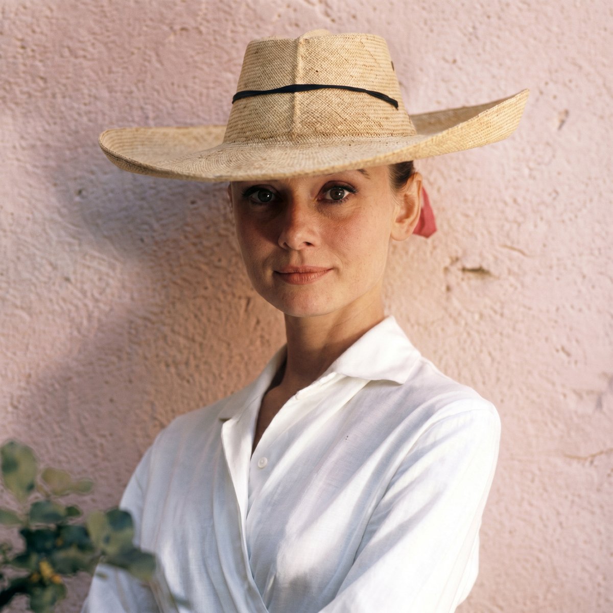 hollywoodboxuk's tweet photo. Effortless elegance, timeless forever. 🤍 Audrey Hepburn could turn a simple white shirt and straw hat into pure style history — is she still the ultimate icon of grace?

#hollywoodbox #audreyhepburn #classichollywood #timelessstyle #vintageelegance #styleicon https://t.co/EmiHGSU2kj